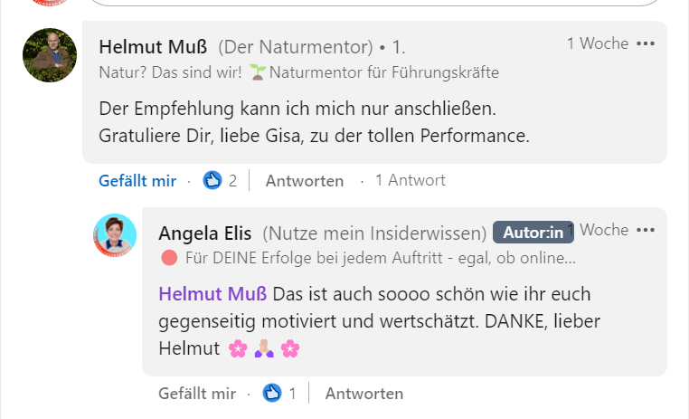 LinkedIn-Kommentar von Helmut Muß zum Mentoring mit Angela Elis